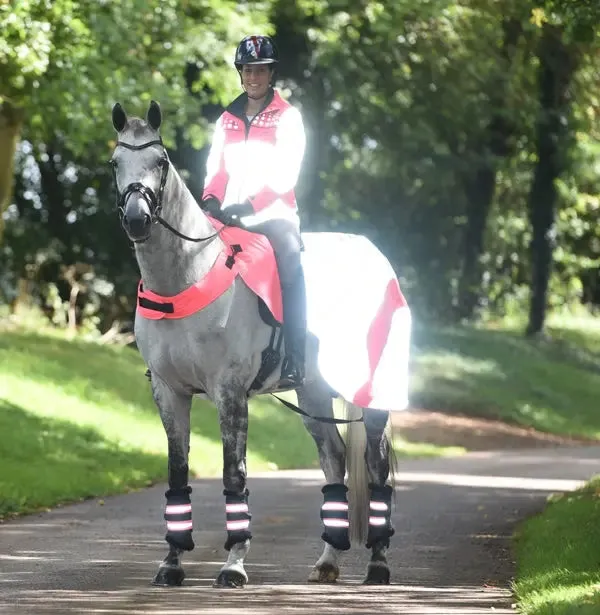 Equisafety Mercury Exercise Sheet - Yellow - SPECIAL OFFER - 16% OFF