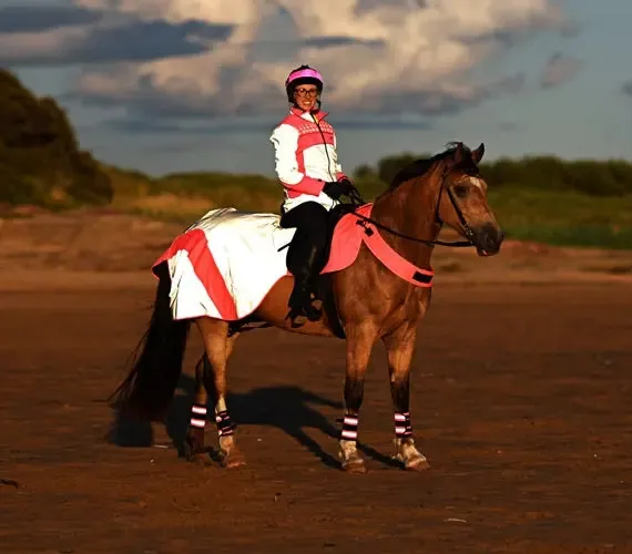 Equisafety Mercury Exercise Sheet - Yellow - SPECIAL OFFER - 16% OFF